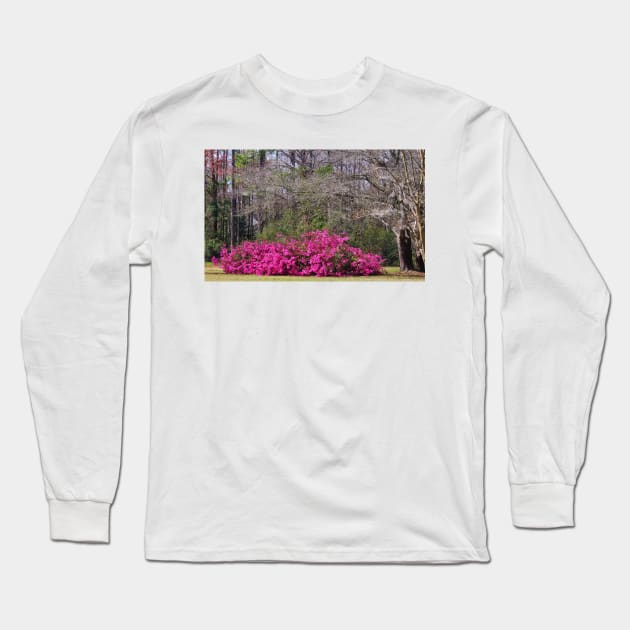 Beauty In The Woods Long Sleeve T-Shirt by Cynthia48